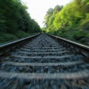 Terrified Dog Tied To Railroad Tracks and Left to Die In South Carolina