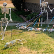 Viral Photo Shows Dachshund Lover’s Adorable “Halloweenie” Yard Decoration