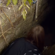 Good Samaritans Save Dog Trapped In A Hole In The Ground