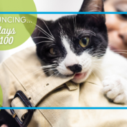 10 Days to 100: Austin Pets Alive! Sets Goal of Adding 100 New Constant Companions in just 10 Days