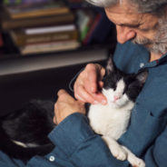 10 ways to senior pet proof your home