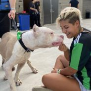 15 Austin FC Honorary Mascots Found Homes!