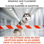 Ensuring Safe Placement vs. Placing Barriers In Adoption