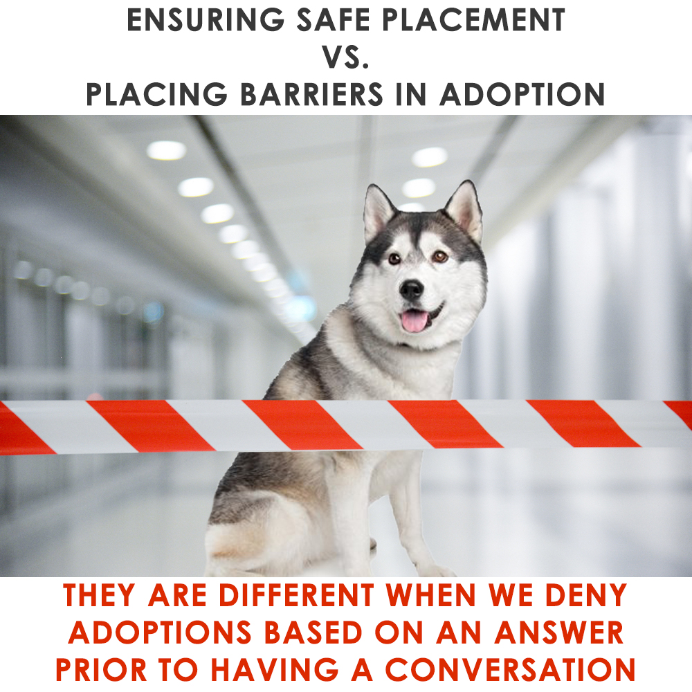 Untitled 1 - Ensuring Safe Placement vs. Placing Barriers In Adoption