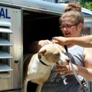 A Letter from Dr. Jefferson: Common Misconceptions of No Kill Shelter Influx