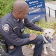 Beloved Campus K-9 Comforts Students After Bomb Threat On Campus