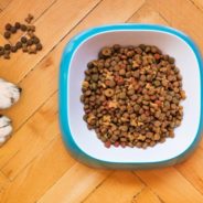 Chicken- and beef-free recipes for dogs with sensitivities