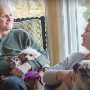 Couple Takes In Dogs Nearing The End Of Their Lives & Shows Them Unconditional Love