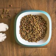 Decoding pet food marketing jargon