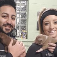 Detroit Police Officers Rescue Malnourished Dog and Her Puppies From Abandoned Home