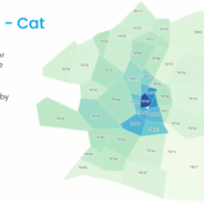 Fostering in Austin