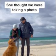 Golden Retriever Goes Bonkers When His Dad Proposes To His Mom In Viral Video