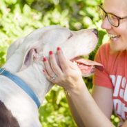 Historic No Kill Resolution Passes in Austin City Council