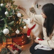 How “extra” are pet parents during the holidays?