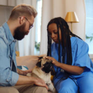 How managing your dog or cat’s emotional state takes the stress out of vet visits