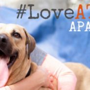 #LoveATXPets? Us too! Come find us at SXSW!