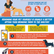 Please Share This Infographic on How to Self-Rehome Pets