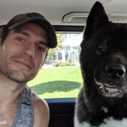 Superman Actor Credits Beloved Dog Kal With Saving His Mental Health