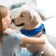 Which breeds make the best service dogs?