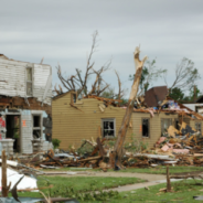 Woman Finds Her Dog Alive After Tornado Destroyed Neighborhood