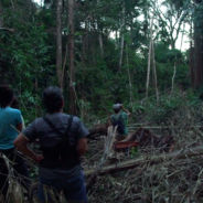 Woman Has Spent The Last 16 Years Rescuing Rainforest Animals In Danger