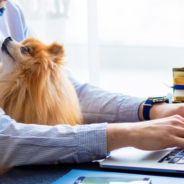 Working from home with pets