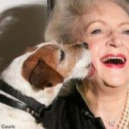 10 Betty White Animal Quotes In Celebration Of Her 100th Birthday