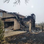 Animals Left Without Homes After Wildfires Blaze Through Colorado