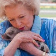 Betty White Fans Plan To Celebrate Her 100th Birthday By Giving Back To Animals