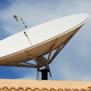 Cats Seem To Be Huge Fans Of Elon Musk’s Starlink Satellite Dishes