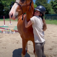 Couple Saves Terrified Horses From Slaughter And Nurses Them Back To Health