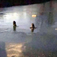 Firefighters Rescue Two Dogs Who Were Trapped In Frozen Pond For 20 Minutes