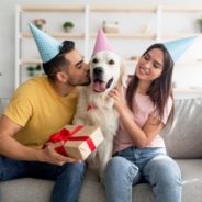 Gifts for your dog or cat that keep on giving