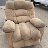 Thrift Store Workers Find Cat Inside Donated Recliner