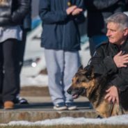 Veteran Police Dog Given Heroes’ Farewell Before Crossing The Rainbow Bridge