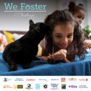 17 national organizations come together for the We Foster Challenge