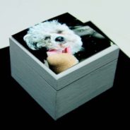 Accordion Photo Box