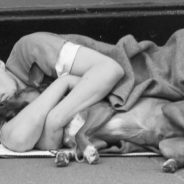 Donations From Kind Strangers Help Homeless Man And His Dog Stay Together