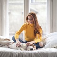 How massage benefits senior dogs and cats