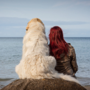 How to support your dog or cat on the road to cancer recovery