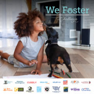 I foster. You foster. We all foster. A new Challenge is coming!