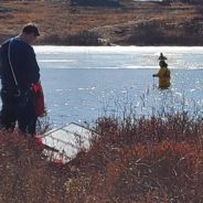 Massachusetts Firefighters Rush Into Icy Pond To Rescue Man’s Best Friend, Sadie