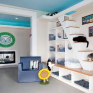 Rescues Run The Show At This Historic House For Homeless Cats