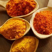 Talking about turmeric – can it help treat cancer in dogs and cats?