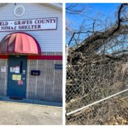 Tornados Damaged An Animal Shelter In Kentucky. Here’s How Readers Are Helping Us Fix It