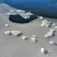 Woman Falls Into Frozen Pond Trying To Save Her Dog But Ohio Deputy Comes To Their Rescue