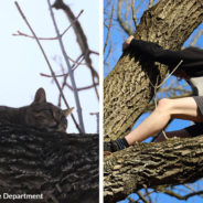 Boy Gets Himself Stuck In 35-foot Tree Trying To Rescue Stubborn Tabby Cat