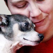 Couple Turns Old School Into Senior Dog Sanctuary, Loves Them Til Their Last Breath