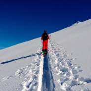 Dog Presumed Dead After Being Buried In Avalanche Found Alive And Well