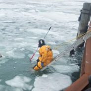 Firefighter Risks Life to Save Dog That is Drifting on a Dangerous Ice Floe